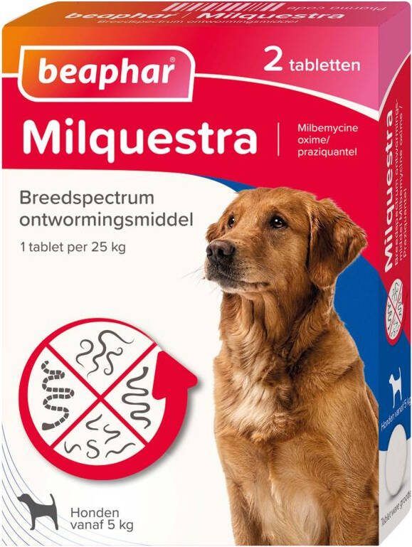 Beaphar Milquestra Hond 5-10kg Wormenmiddel 2 stuks