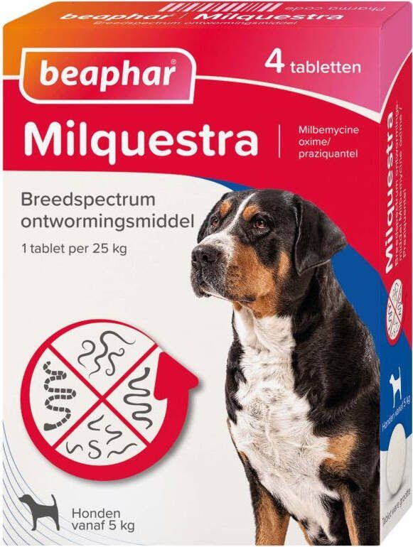Beaphar Milquestra Hond 5-75kg Wormenmiddel 4 stuks