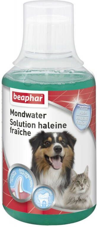 Beaphar Mondwater Mondverzorging 250 ml