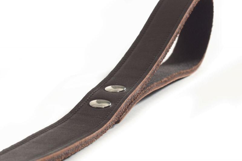 Beeztees Hondenriem van leer 200cm x 20mm bruin