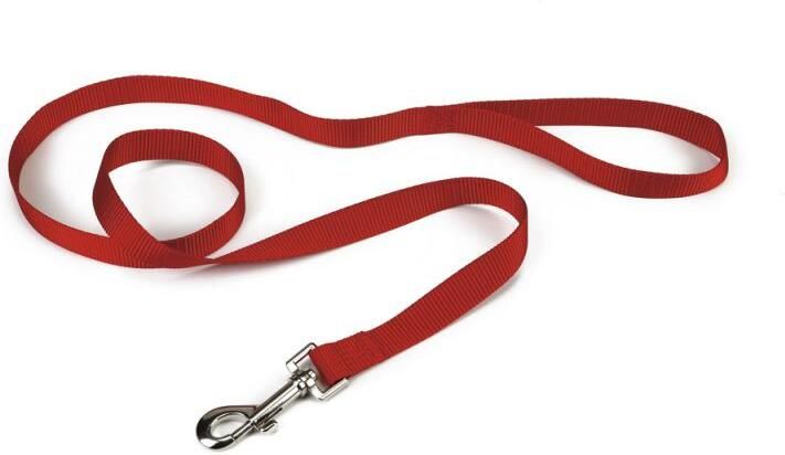 Beeztees Hondenriem van nylon 100cm x 20mm rood