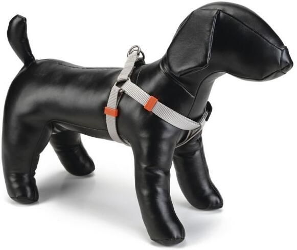 Beeztees Uni Hondentuig Blauw Nylon 20 mm