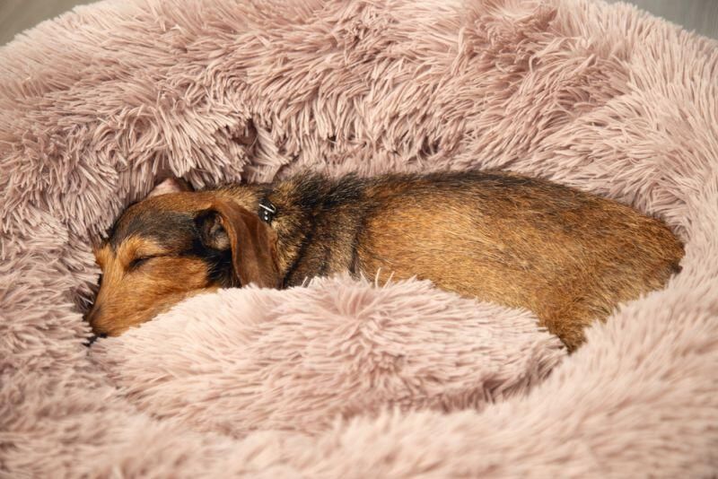 Beeztees Yali Pluche Fluffy hondenmand Beige Ø70 cm L