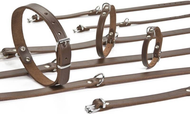 Beeztees Lederen honden halsband bruin 37 cm x 12 mm