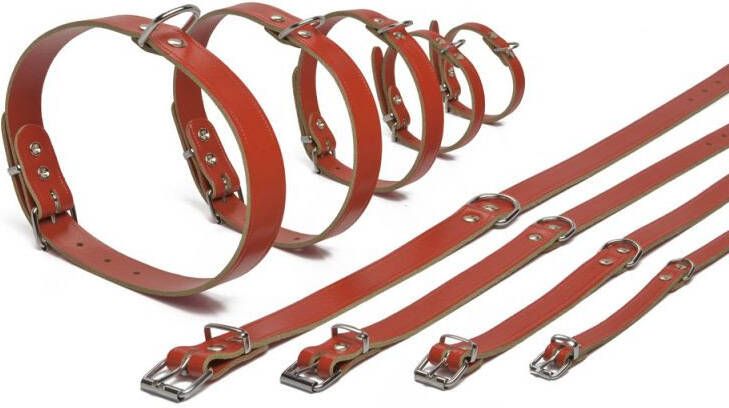 Beeztees Lederen honden halsband rood 27 cm x 10 mm