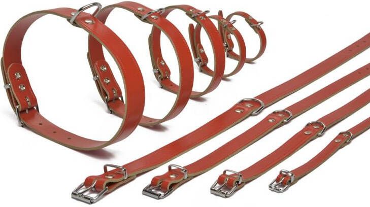 Beeztees Lederen honden halsband rood 32 cm x 10 mm