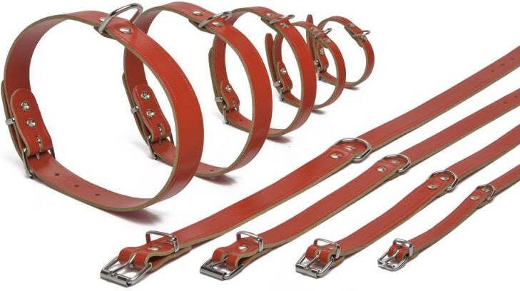 Beeztees Lederen honden halsband rood 47 cm x 18 mm