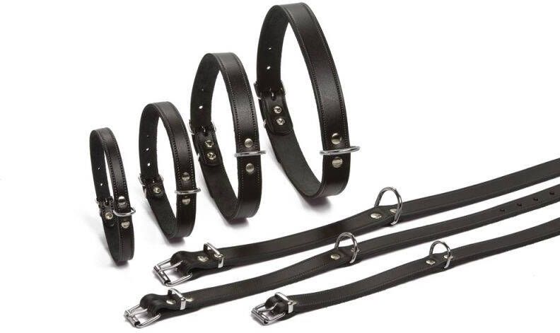 Beeztees Lederen honden halsband zwart 47 cm x 18 mm