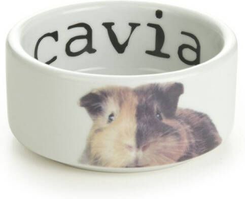 Beeztees Voer of drinkbak Snapshot cavia 10X4 Wit
