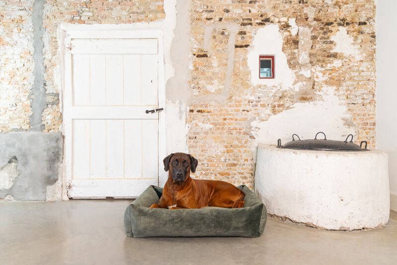 DbL Designed by Lotte  Yndis Hondenmand Bouclé Groen 95x80x25 cm Groot
