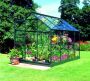 Royal Well Tuinkas hobbykas Popular 86 groen gecoat polycarbonaat 4mm 1 - Thumbnail 9