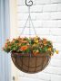 Nature Hanging basket plantenbak donkergroen met verchroomde ketting 16 x 30 x 30 cm geplastificeerd metaaldraad bloemenmand - Thumbnail 2