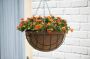 Nature Hanging basket plantenbak donkergroen met verchroomde ketting 16 x 30 x 30 cm geplastificeerd metaaldraad bloemenmand - Thumbnail 3