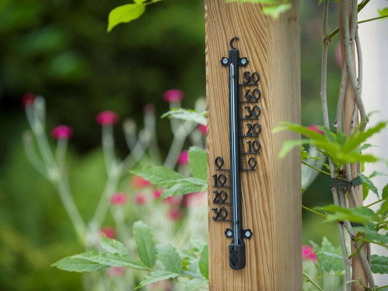 Nature Profielthermometer