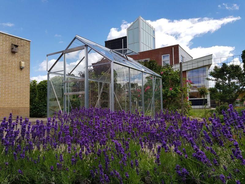 Halls Popular 86 Tuinkas Zilver 257x193x196 cm Veiligheidsglas - Foto 7