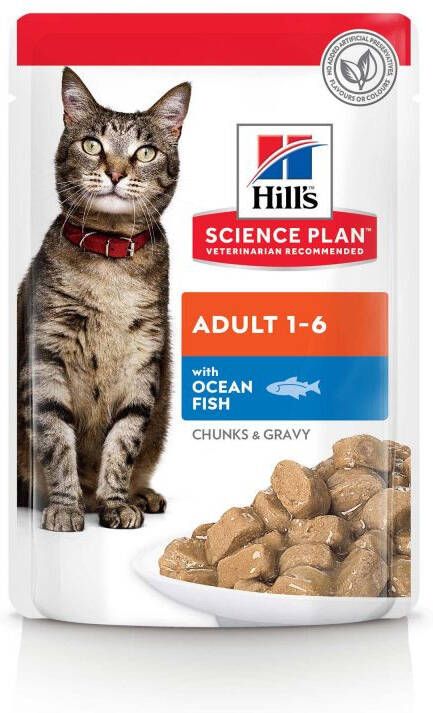 Hills Hill's Adult Kattenvoer Vis 85 gram