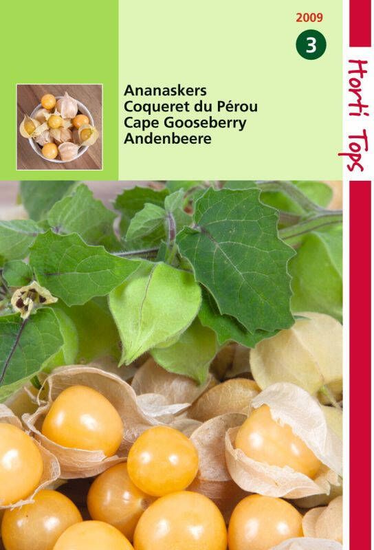 Hortitops Ananaskers Peruviana Physalis peruviana Overige groenteplanten 5 gram