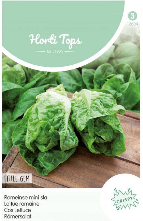 Hortitops Bindsla Lactuca sativa Romeinse mini sla Little Gem Sucrine Groentezaden 2 gram