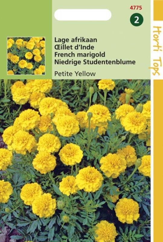 Hortitops Bloemzaden Afrikaan (Tagetes)