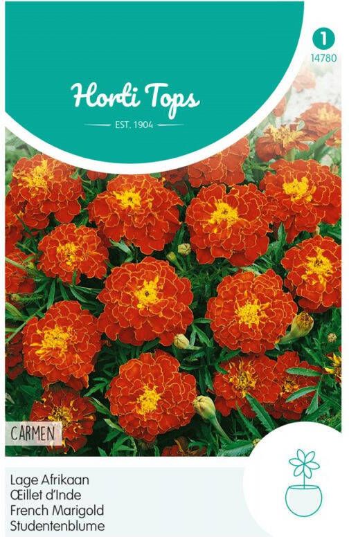 Hortitops Bloemzaden Afrikaan (Tagetes)