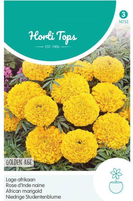 Hortitops Bloemzaden Afrikaan (Tagetes)