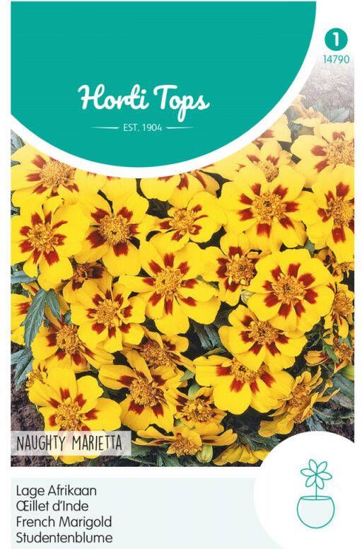 Hortitops Zaden Afrikaantje Naughty Marietta (Tagetes patula nana)