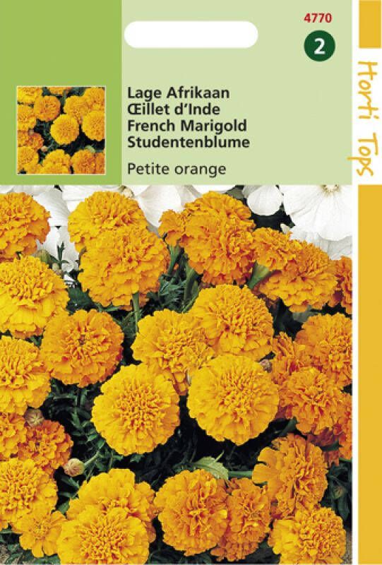 Hortitops Bloemzaden Afrikaan (Tagetes)