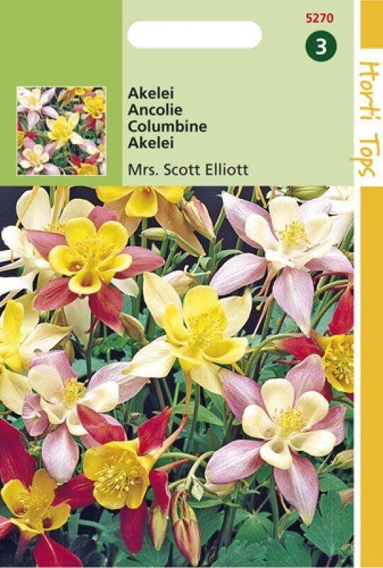Hortitops Akelei mrs. Scott Elliot Bloemzaden Akelei (Aquilegia)