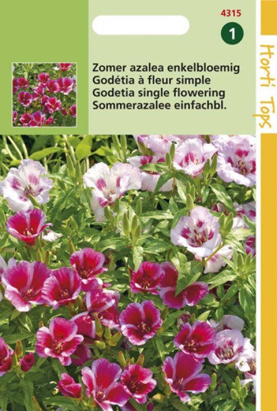 Hortitops Zomer Azalea Enkelbloemig Bloemzaden Azalea (Godetia)