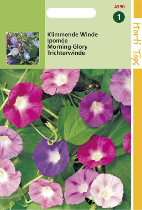 Hortitops Zaden Klimmende Winde Mix (Ipomoea purpurea)