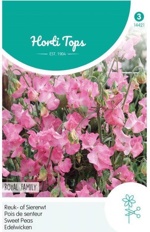 Hortitops Reuk- of Siererwt Royal Roze Bloemzaden Reuk- of siererwt (Lathyrus)