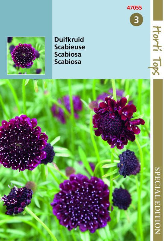 Hortitops Bloemzaden Scabiosa