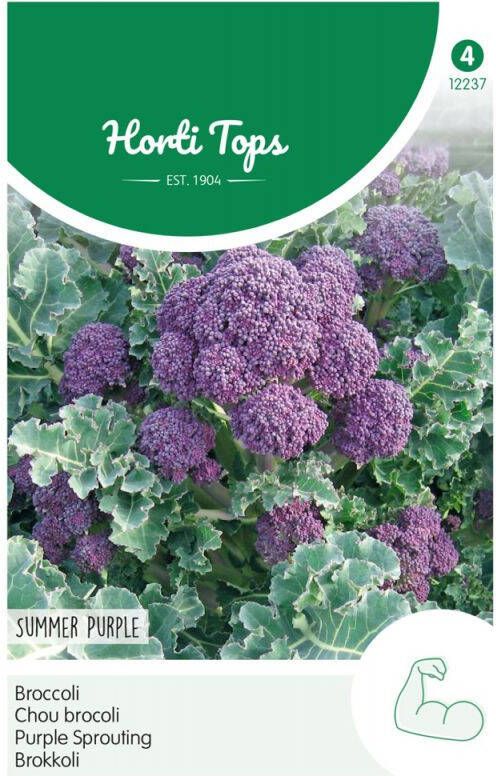 Hortitops Broccoli Brassica oleracea Summer Purple Broccoli 0 25 gram