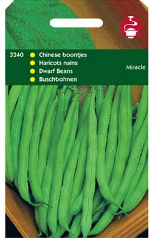 Hortitops Chinees boontje Phaseolus vulgaris Miracle Peulvruchten 100 gram