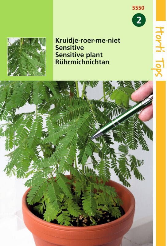 Hortitops Kruidje-Roer-me-niet Mimosa pudica Bloemzaden 0 75 gram