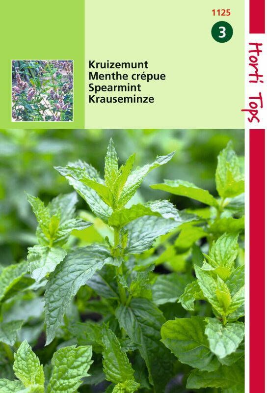 Hortitops Kruizemunt Mentha spicata Kruidenzaden 1 g