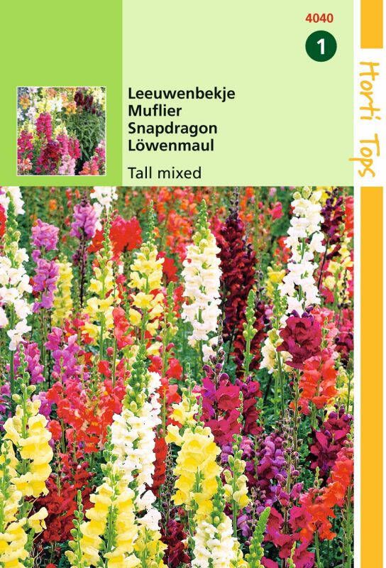 Hortitops Zaden Hoge Leeuwenbek Mix (Antirrhinum majus maximum)