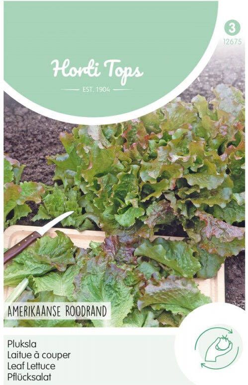 Hortitops Pluksla Lactuca sativa Amerikaanse Roodrand Sla 10 gram