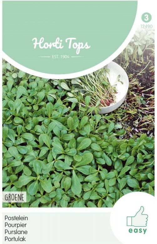 Hortitops Postelein Portulaca oleracea Groene Overige groenteplanten 10 gram