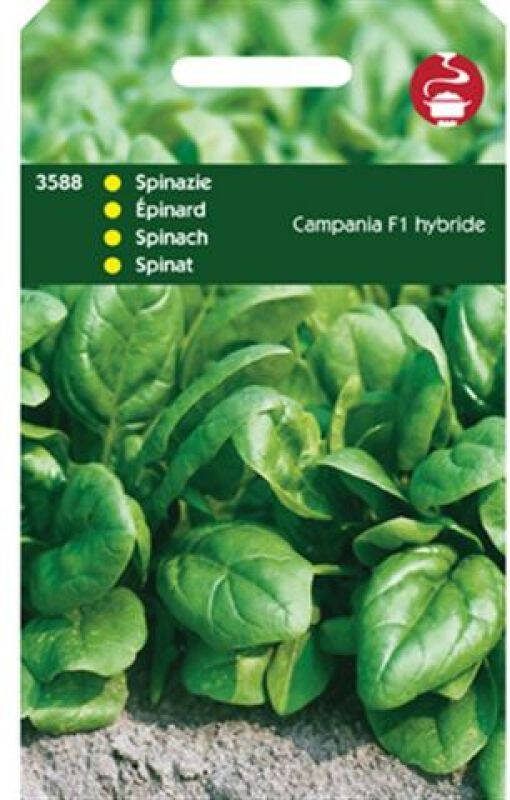 Hortitops Spinazie Spinacia oleracea Campania F1 50 Gram Spinazie 50 gram