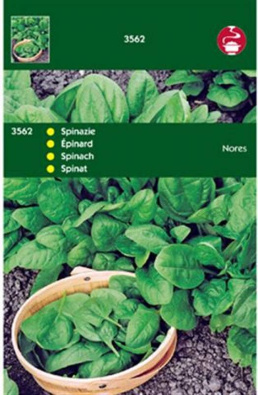 Hortitops Spinazie Spinacia oleracea Nores (Type Viking) Spinazie 100 gram
