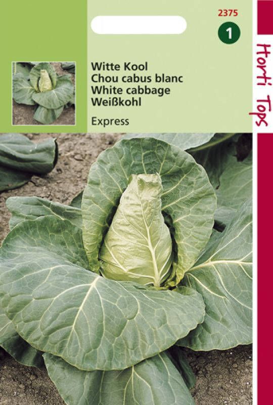 Hortitops Spitskool Brassica oleracea Express Vroege Spitse Kool 2 gram