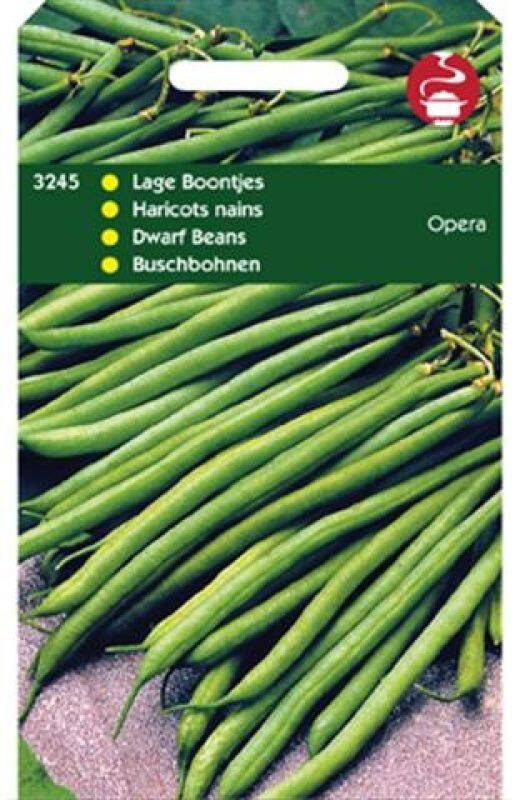 Hortitops Stamslabonen Phaseolus Vulgaris L. Opera Safari (Gourmetboontje) Sla- of sperziebonen 100 gram