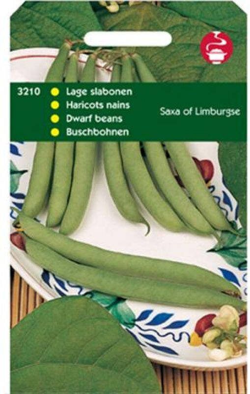 Hortitops Stamslabonen Phaseolus Vulgaris L. Saxa of Limburgse Groentezaden 100 gram