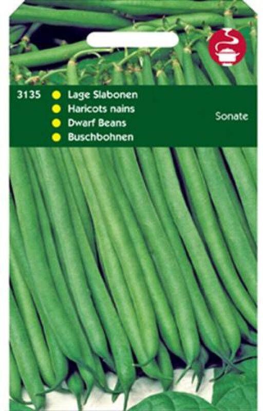 Hortitops Stamslabonen Phaseolus vulgaris Sonate Sla- of sperziebonen 50 gram