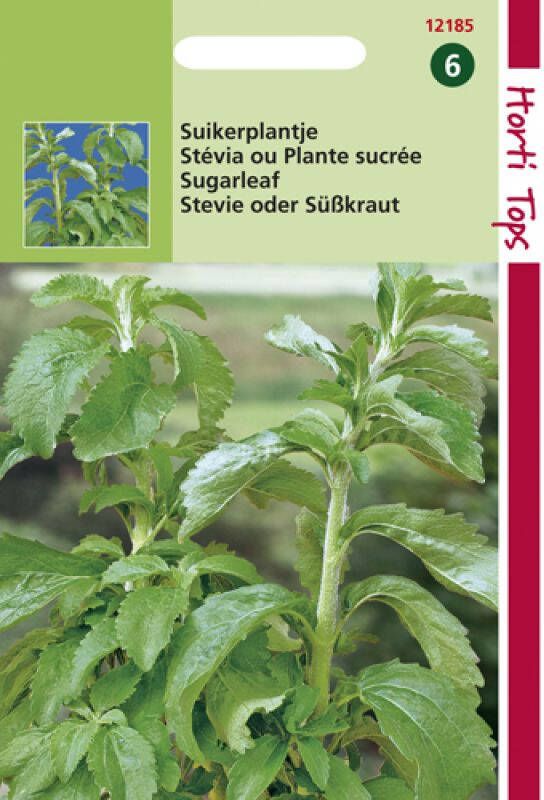 Hortitops Stevia rebaudiana Suikerplantje Kruidenzaden 25 stuks