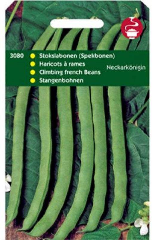 Hortitops Stokspekbonen Phaseolus Vulgaris L. Neckarkönigin (Type Phenomeen) Groentezaden 100 gram