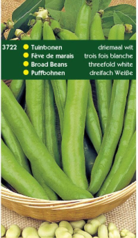 Hortitops Tuinbonen Vicia faba Driemaal wit 250 gr Peulvruchten 250 gram