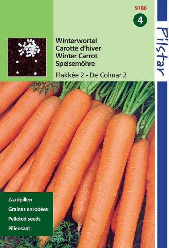 Hortitops Wortelen Daucus carota Winter Flakkeese Wortelen 400 stuks