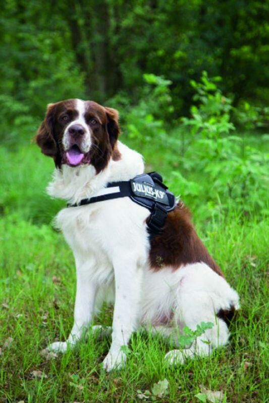 Beeztees Julius-K9 IDC-Powertuig 71-96cm antraciet